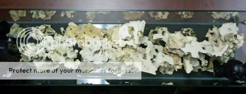 2011 01 22 173953 - CalmSeasQuest's 36" Nano Build