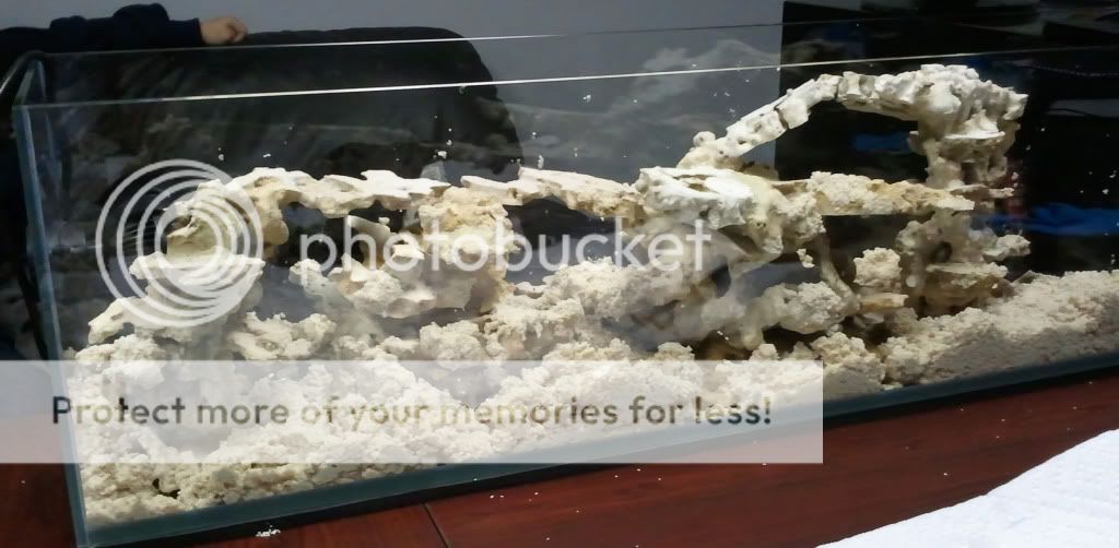 2011 01 22 175454 - CalmSeasQuest's 36" Nano Build