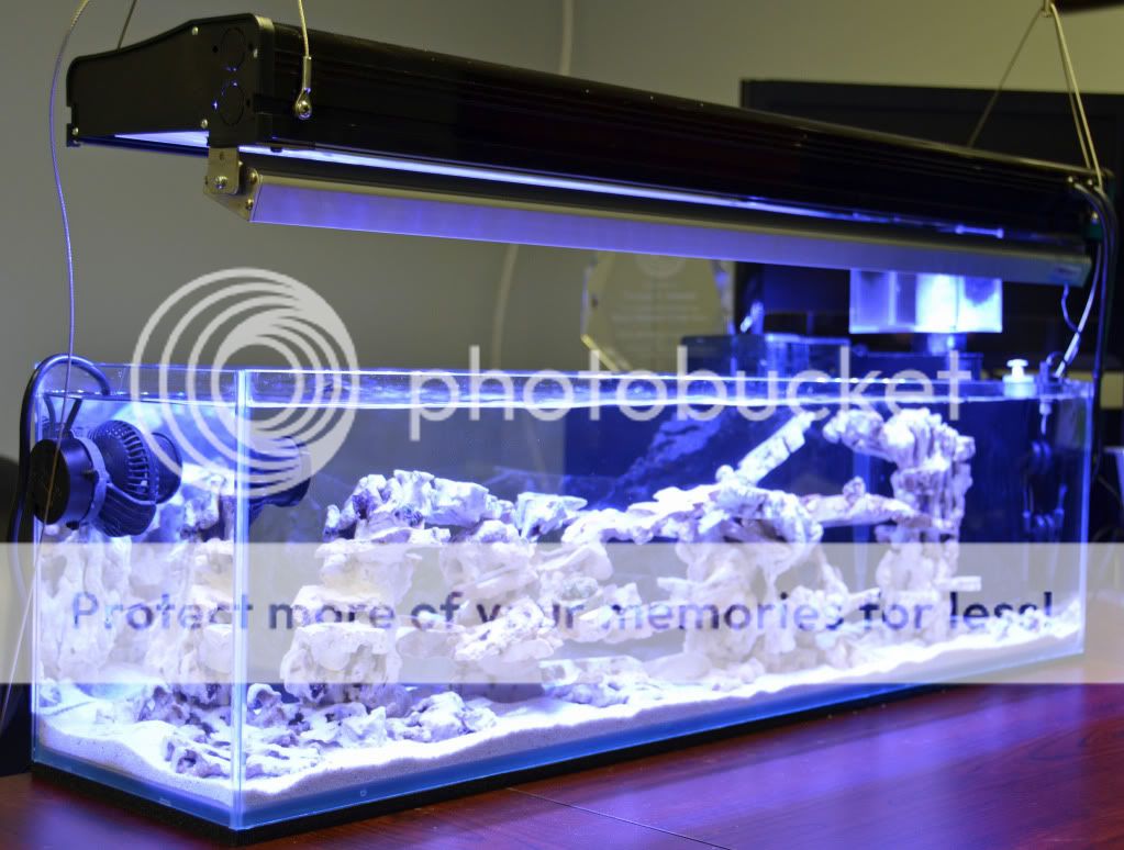 DSC 0395 - CalmSeasQuest's 36" Nano Build