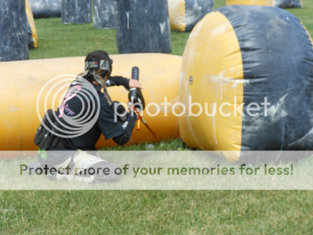 Posted Image