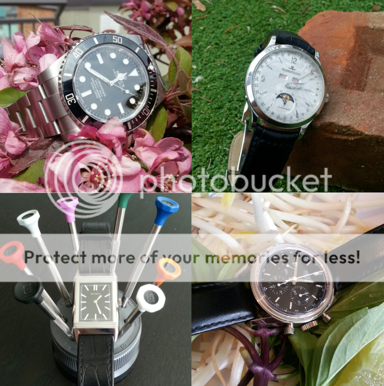 watchcollage_zpsw5qukjg0.png