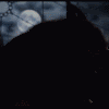 Werewolf_Love_by_LycanLover.gif LYCAN LOVER image by LYCANS202
