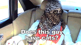 LaToya-Cats_zps379ed633.gif