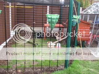 IMG_18812.jpg?t=1254494125