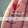 love photography icon Pictures, Images and Photos