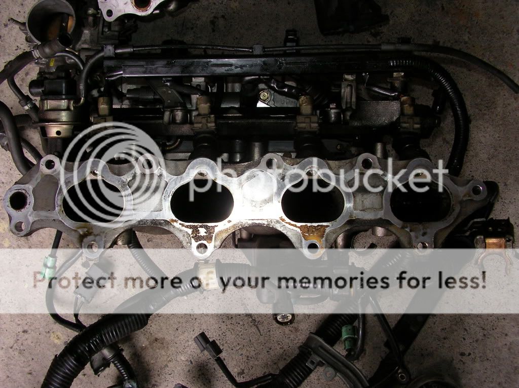 Modify h22a intake manifolds NA Tuning