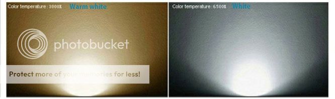  photo e14-4_zps30927b55.jpg